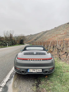 A Porsche 911 GTS speeding along a scenic alpine road lined with pine trees.