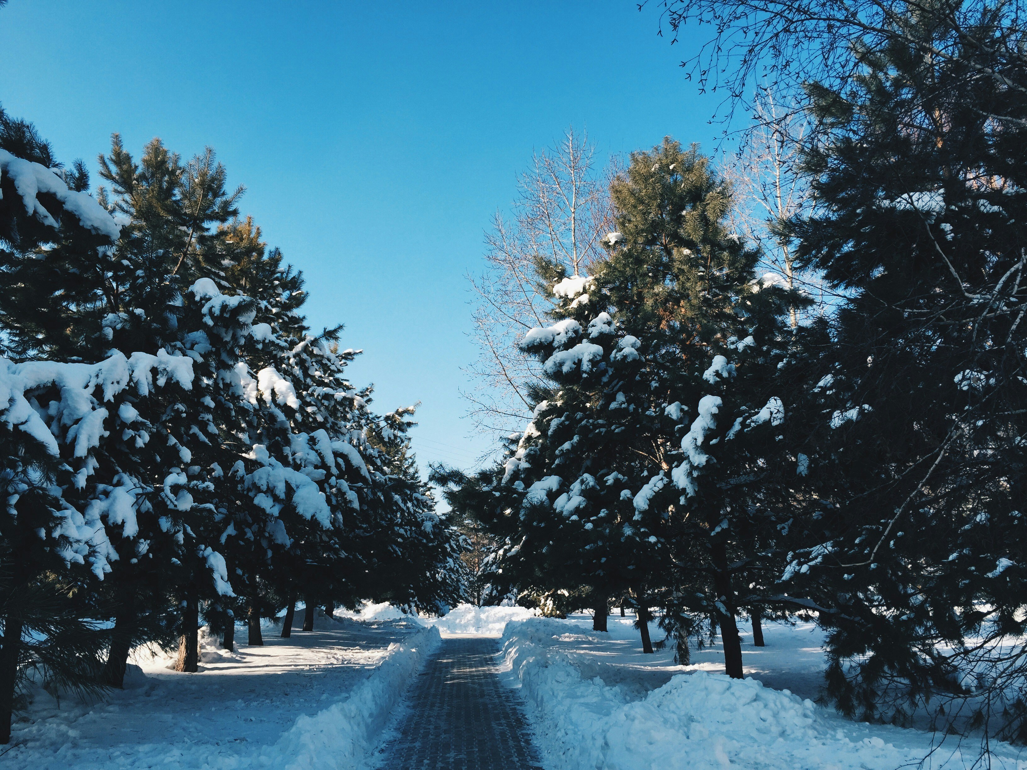 Photo by its__amazing