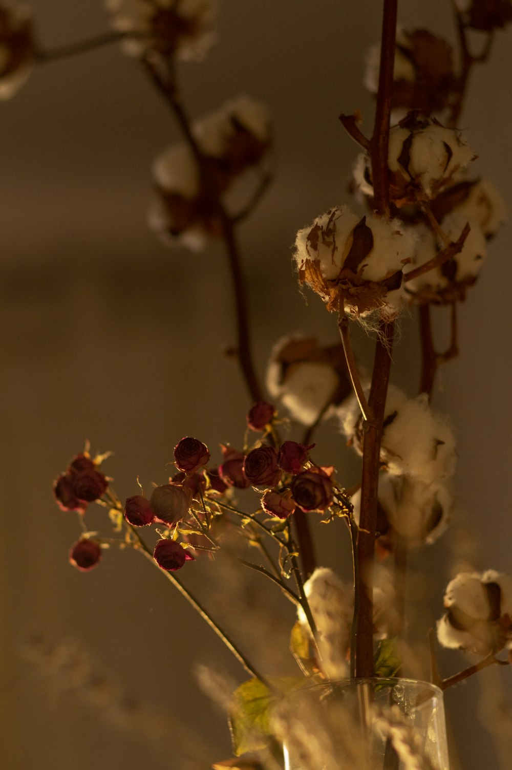 white and brown flower in tilt shift lens