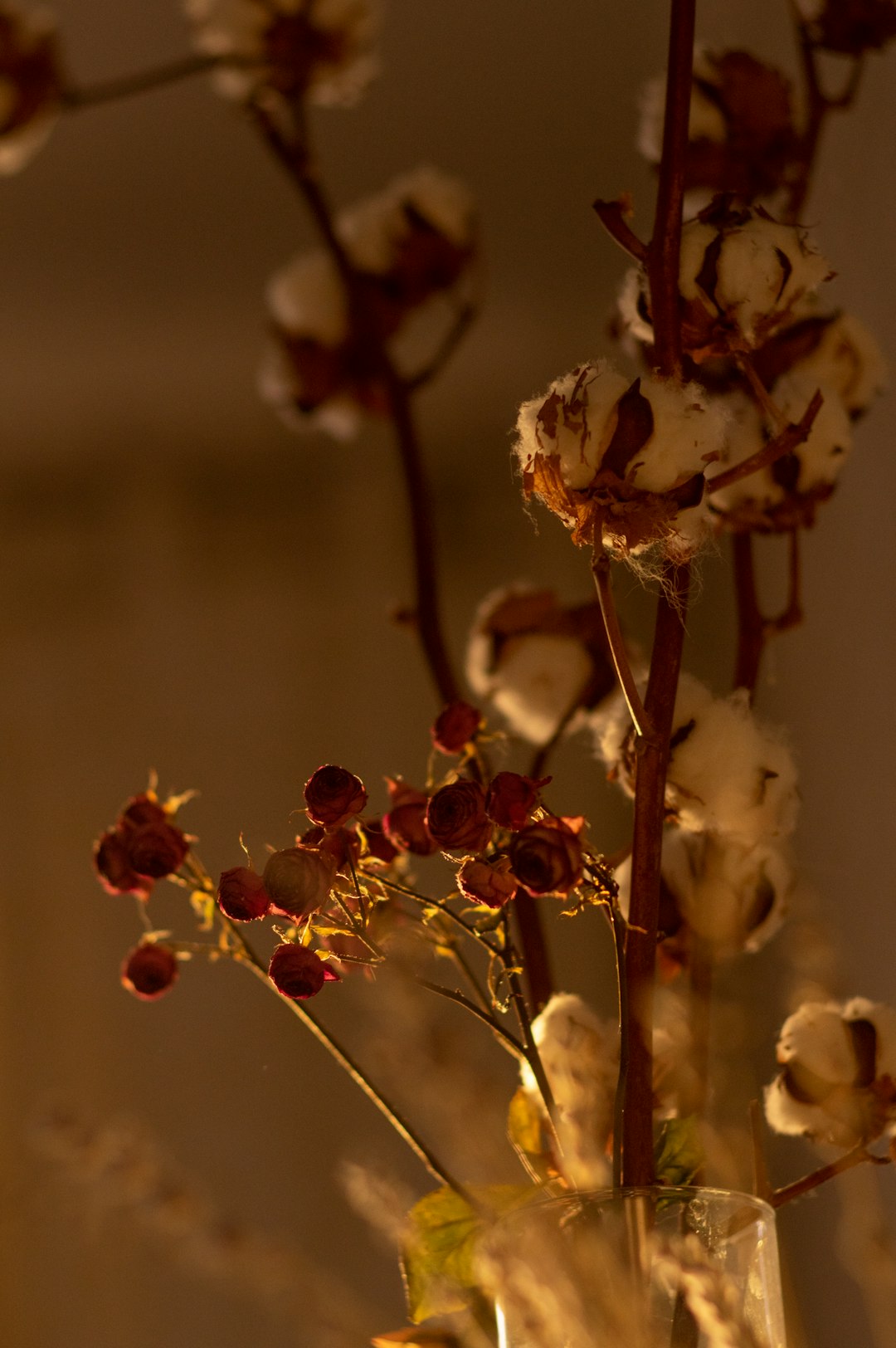 white and brown flower in tilt shift lens