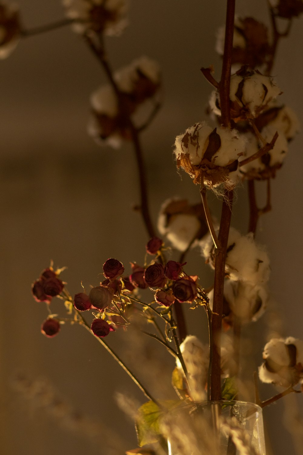 チルトシフトレンズの白と茶色の花