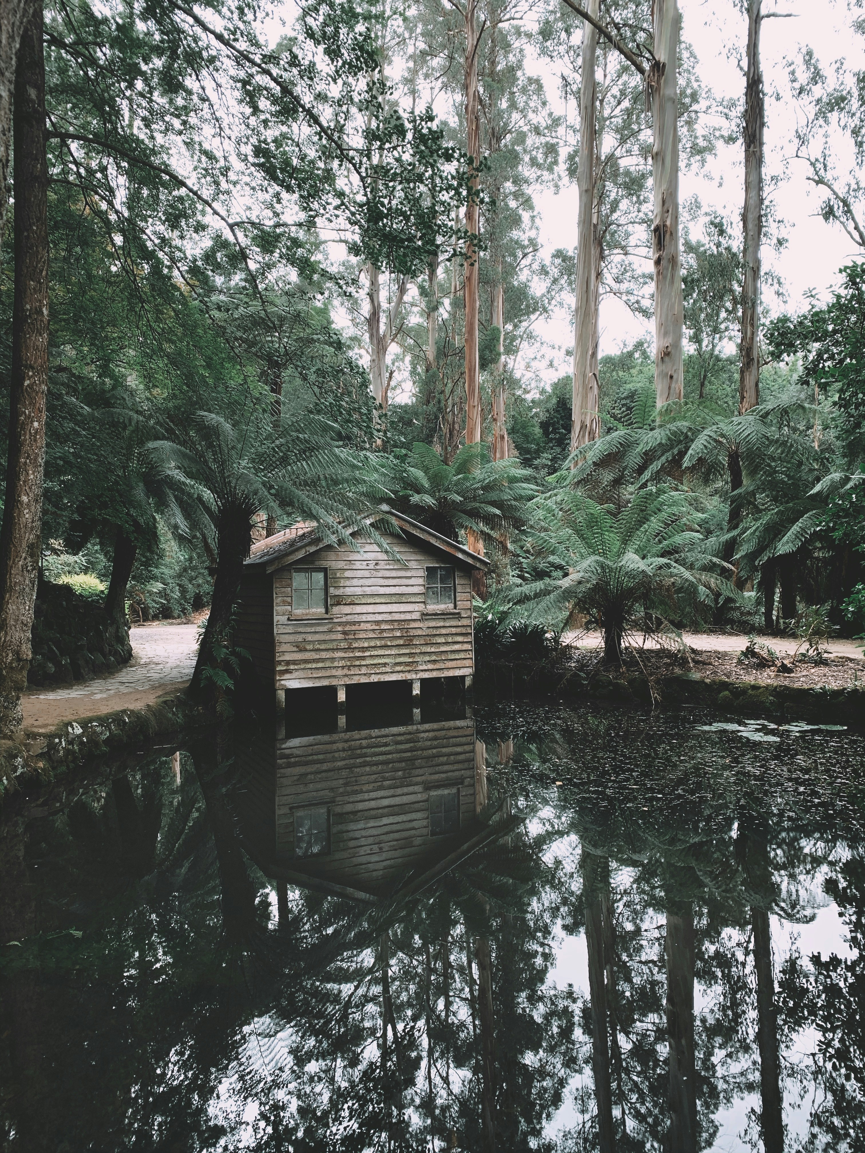 Photo by darcyireland15