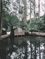 A rustic wooden cabin nestled among lush greenery and tall trees stands beside a calm pond that reflects its image. The surroundings are tranquil, with dense ferns adding to the natural setting and a dirt path meandering through the landscape.