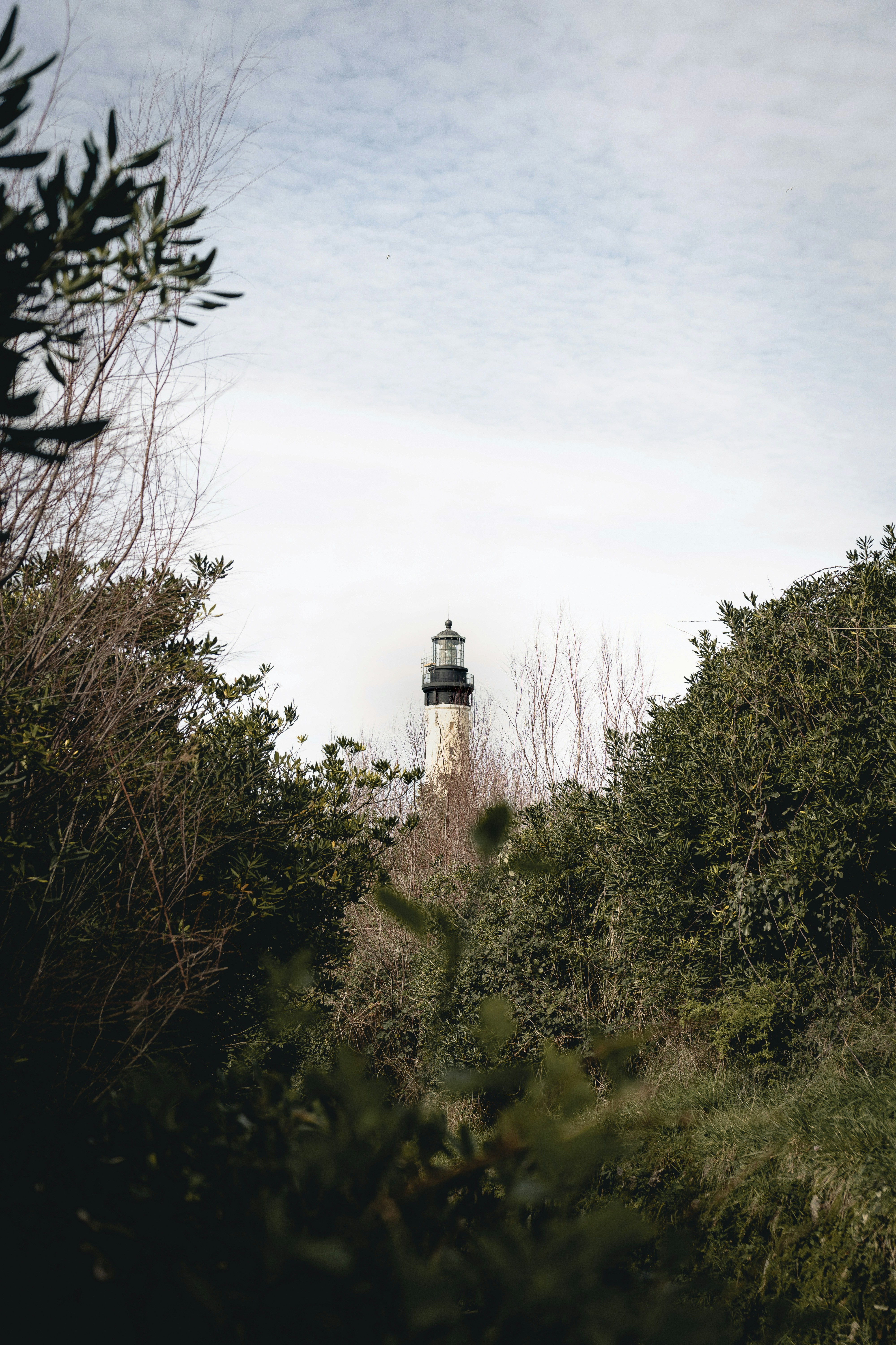 Photo by benkrb