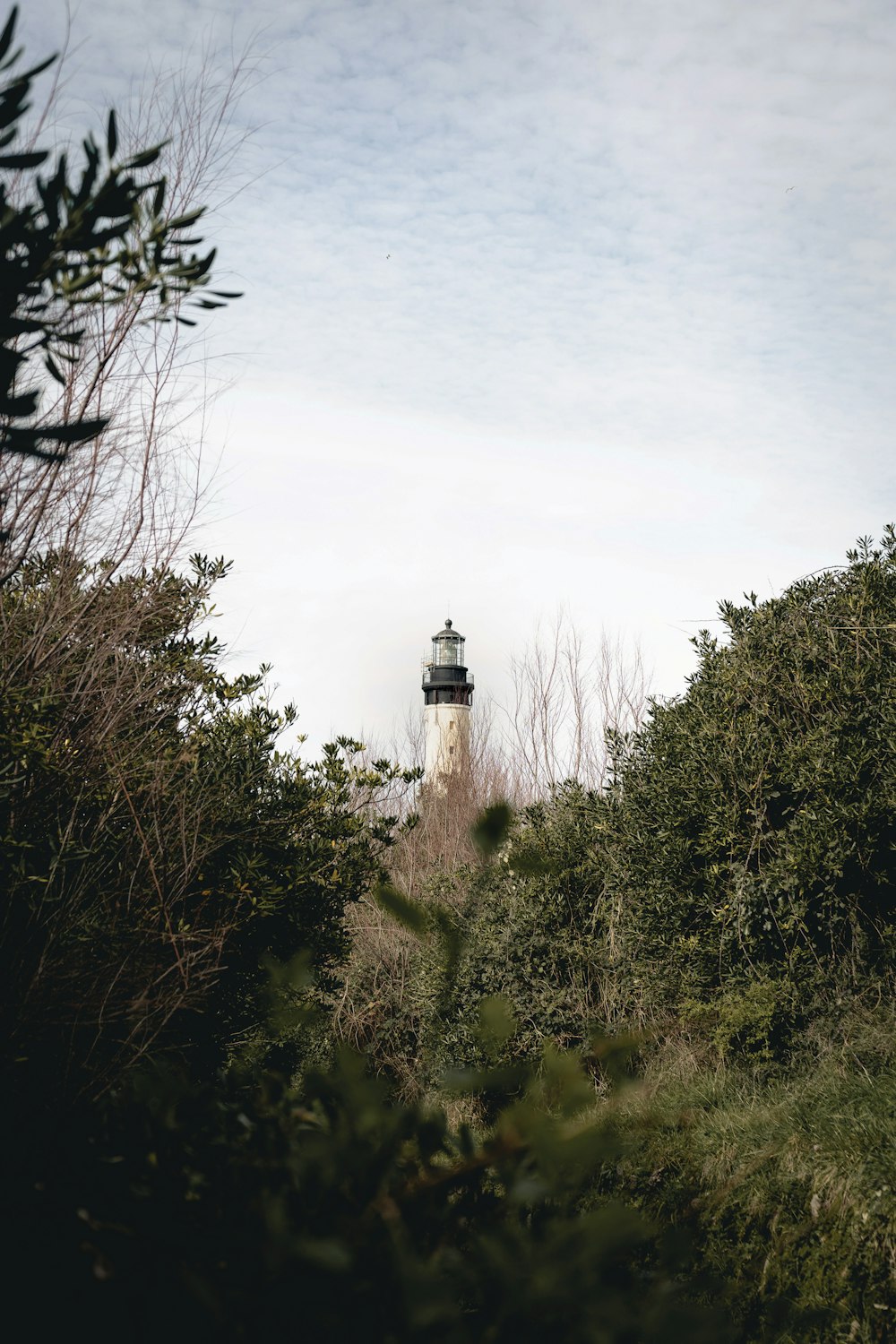 farol branco cercado por árvores verdes sob o céu branco durante o dia