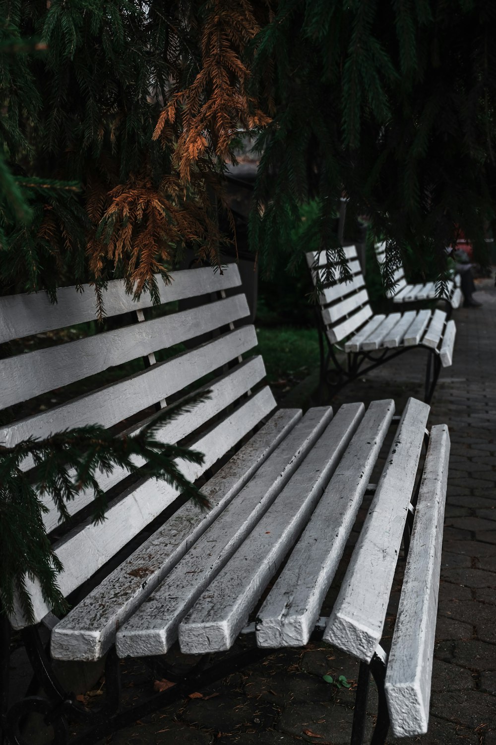 brown wooden bench near green plants during daytime