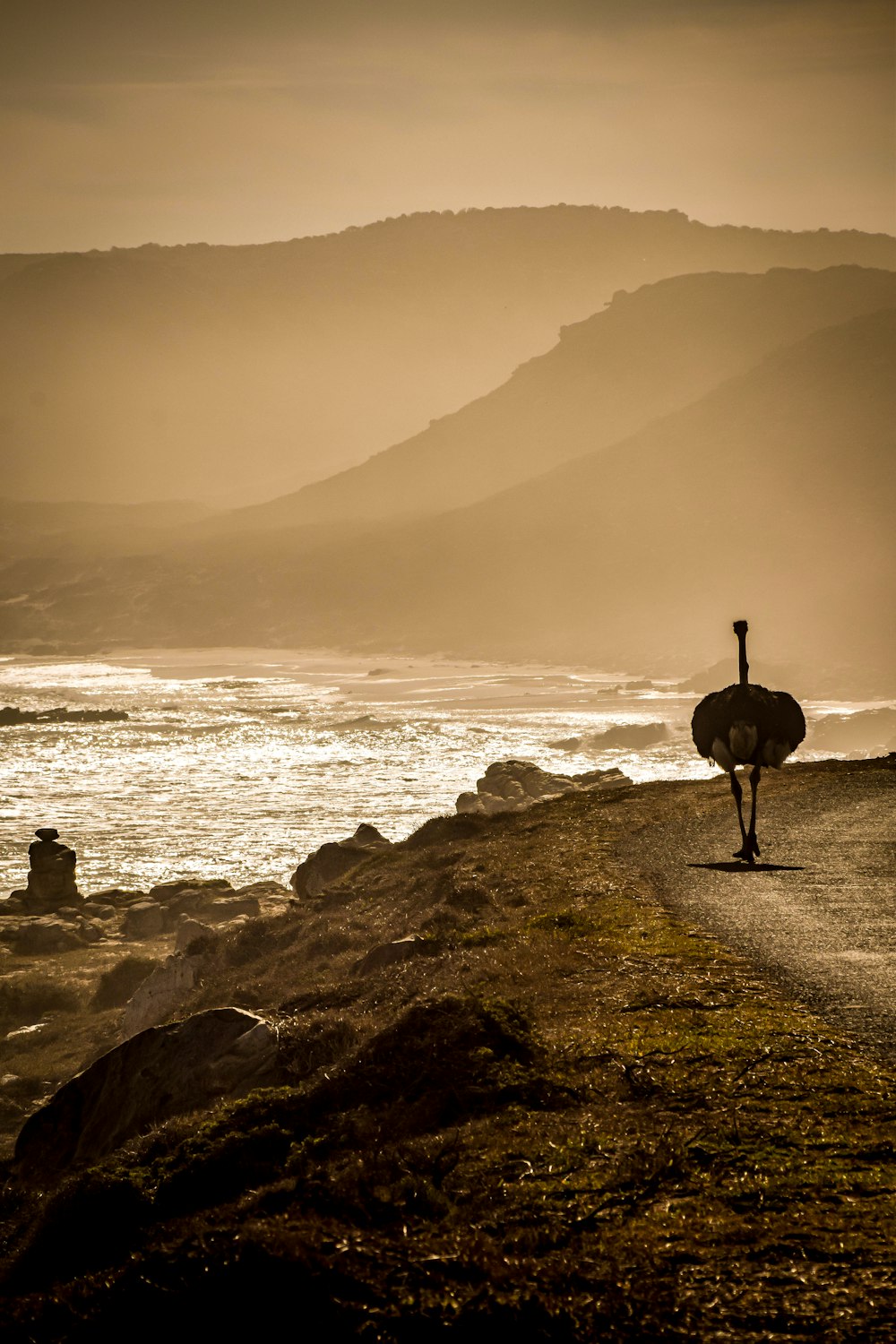 silhouette of person standing on rock near body of water during daytime