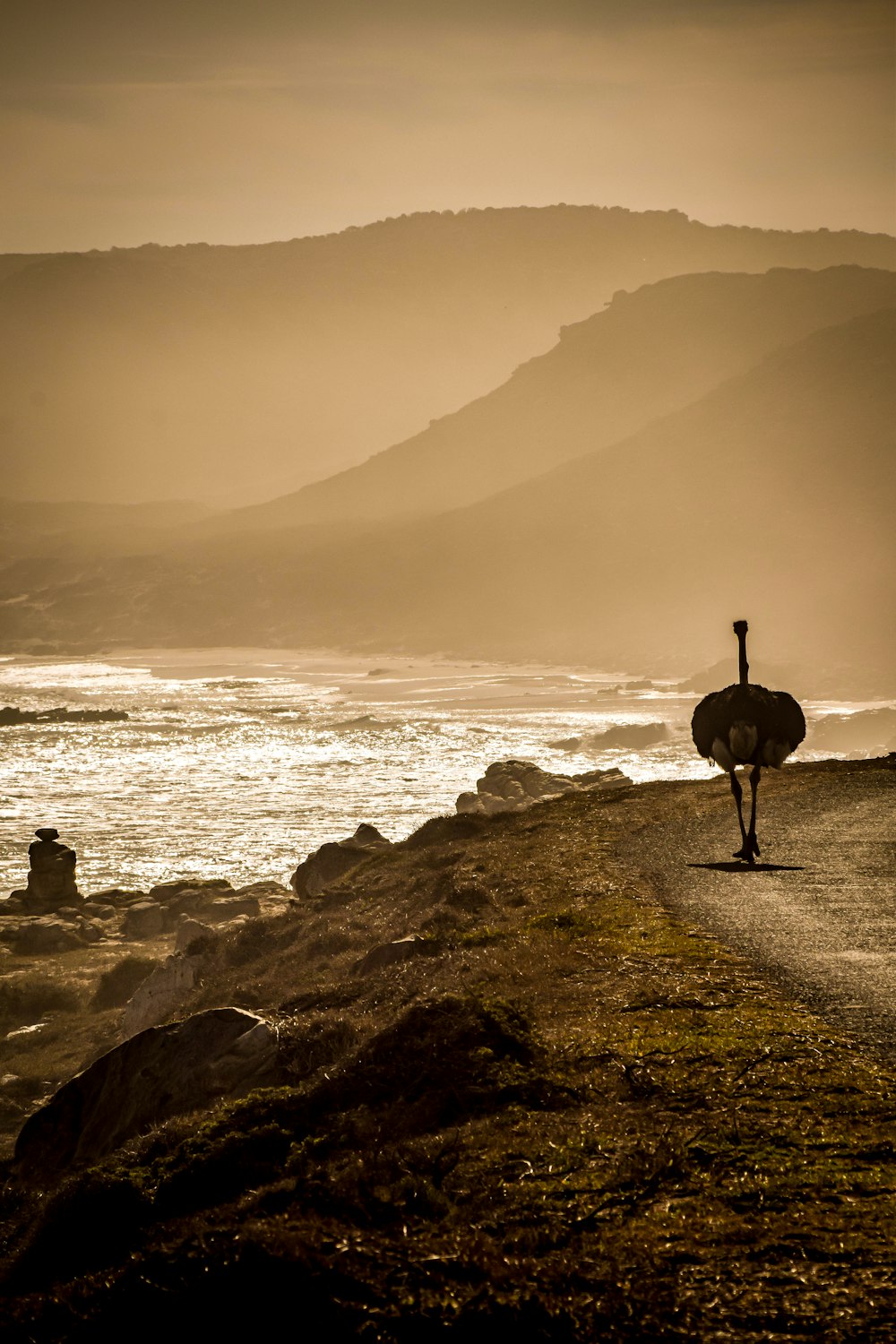 Silhouette einer Person, die tagsüber auf einem Felsen in der Nähe eines Gewässers steht
