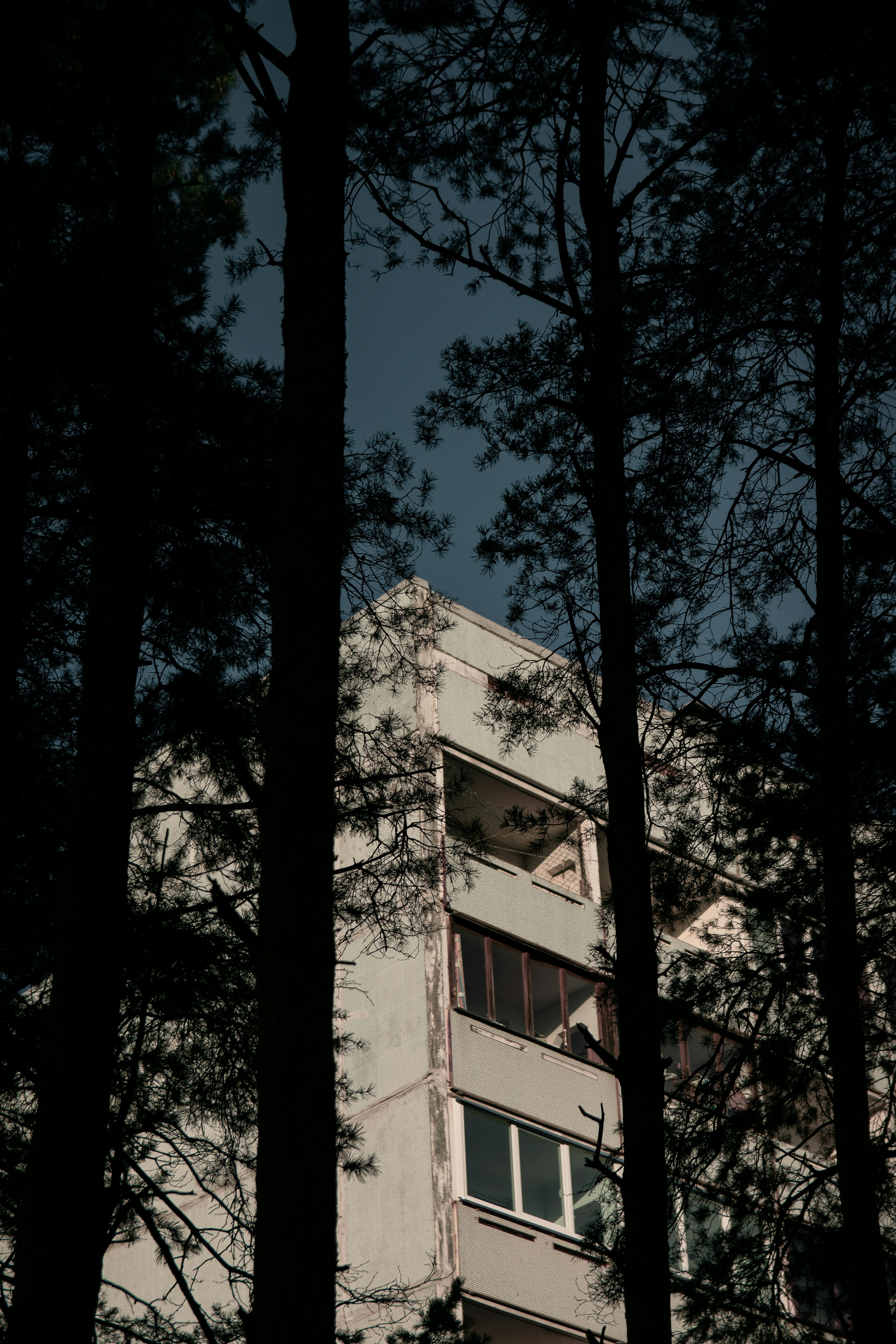 Photo by thomium