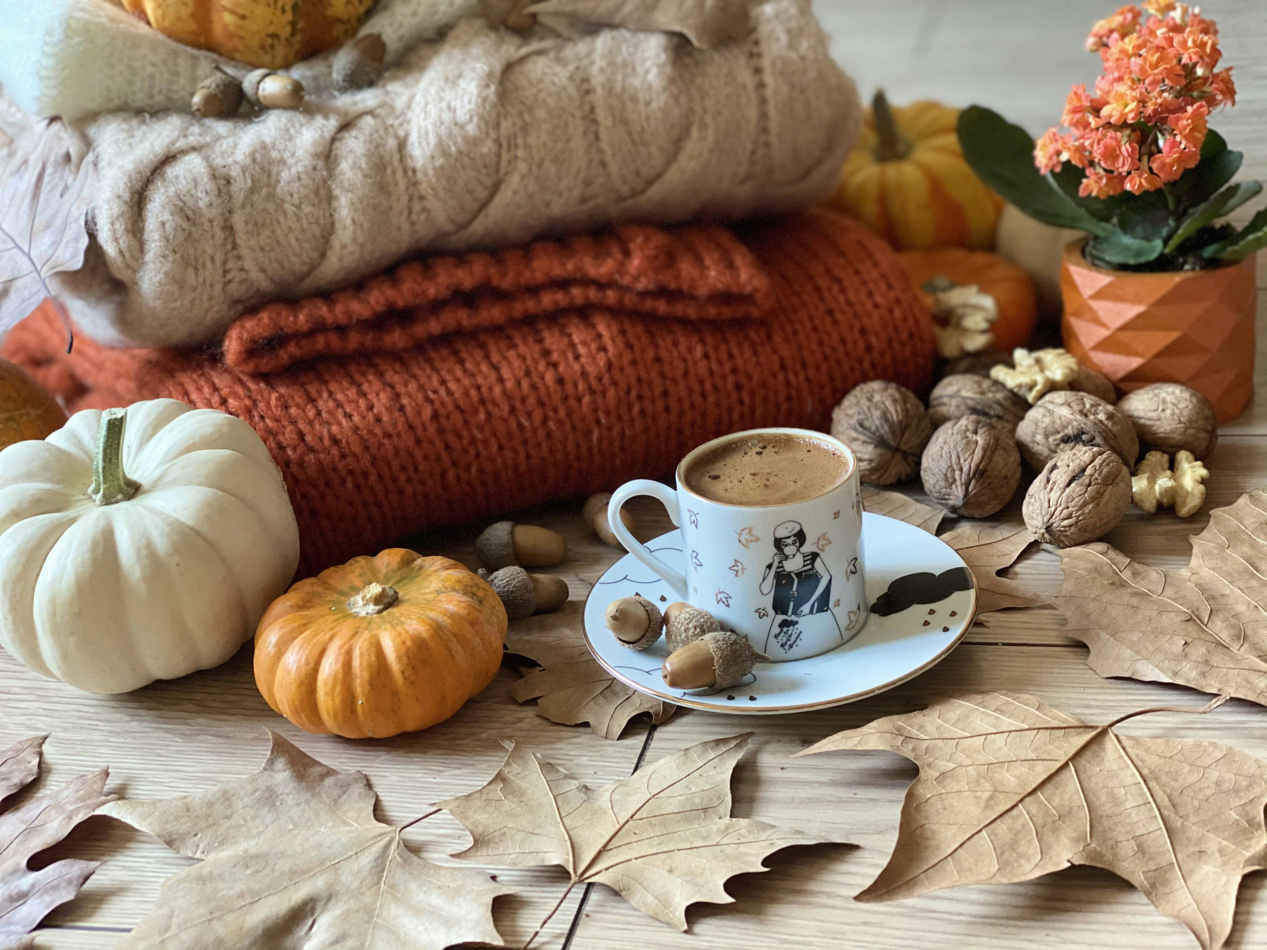 Photo by kalabalikevim