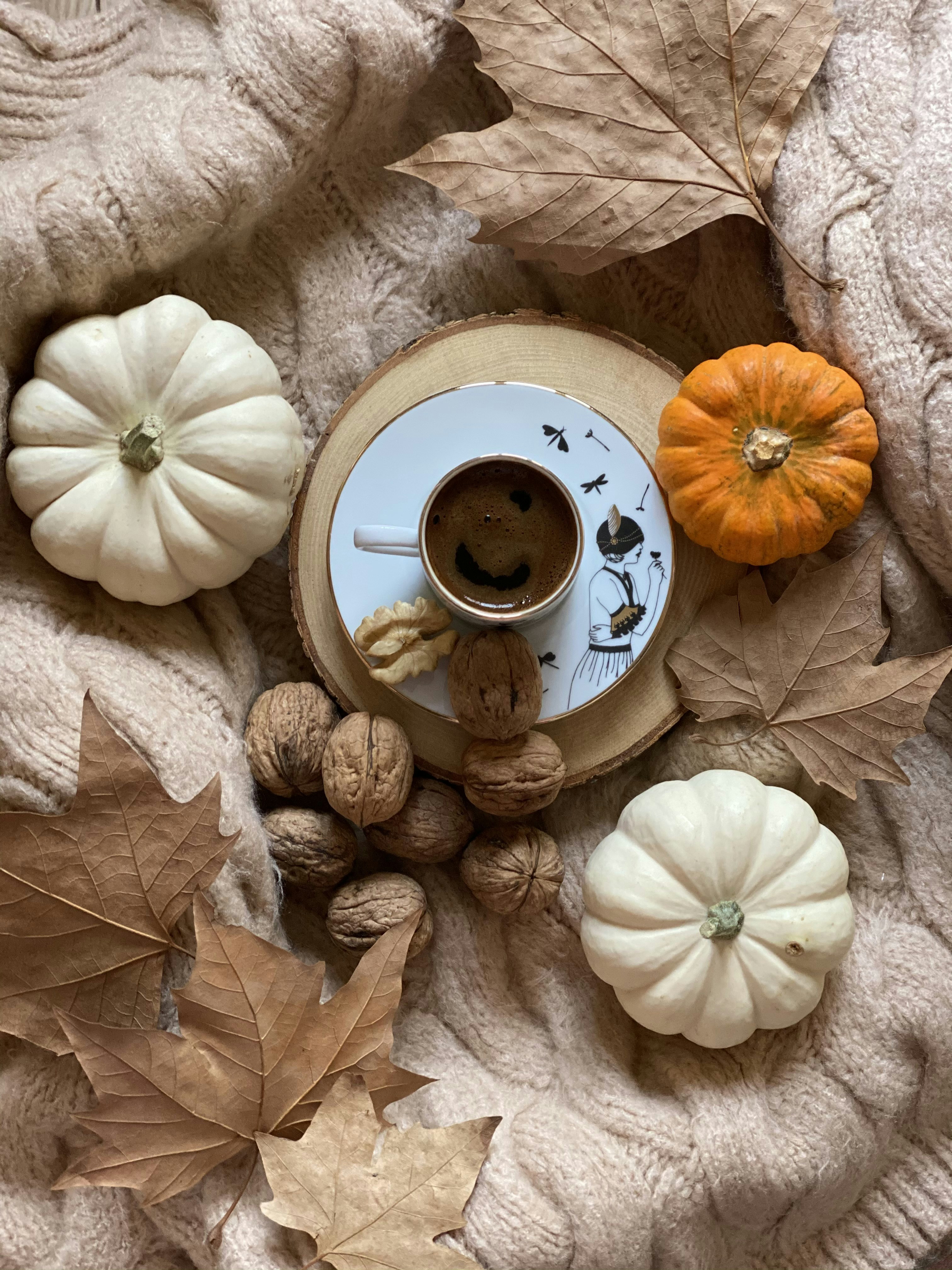 茶色の松ぼっくりに囲まれた白いセラミックの受け皿に白いセラミックのマグカップ