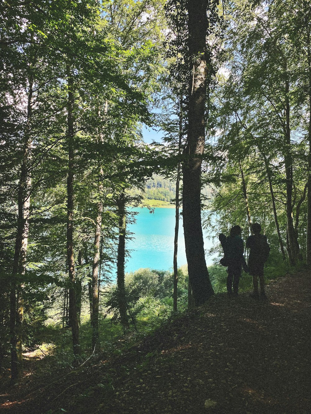 2 person standing on forest near lake during daytime