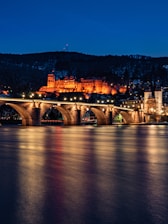 brown concrete bridge over river during night time