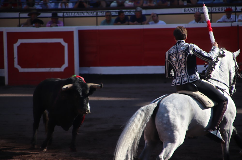 man in black and white long sleeve shirt riding white horse