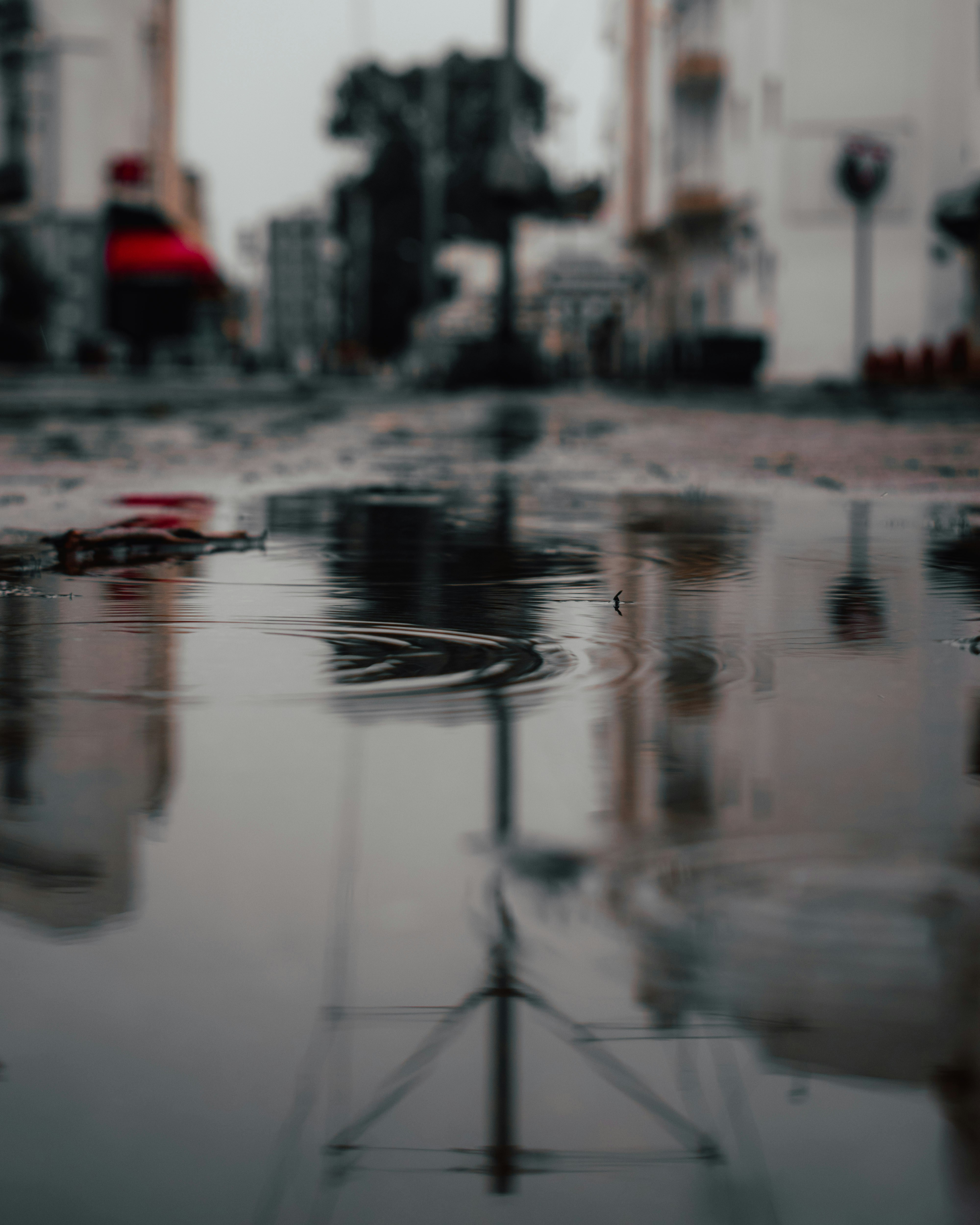 Photo by bilal_ayadi