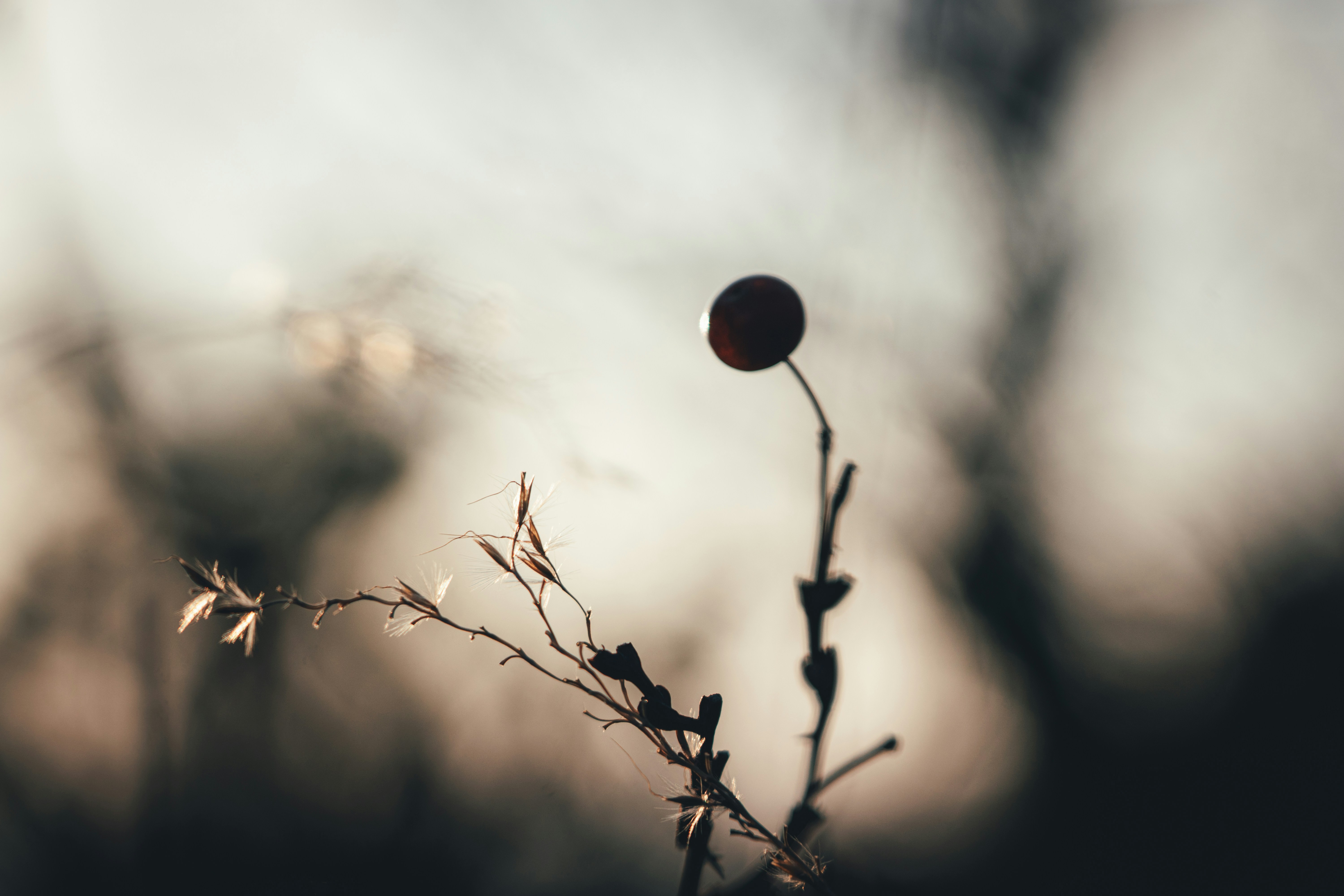 Photo by milestogobeforeisleep