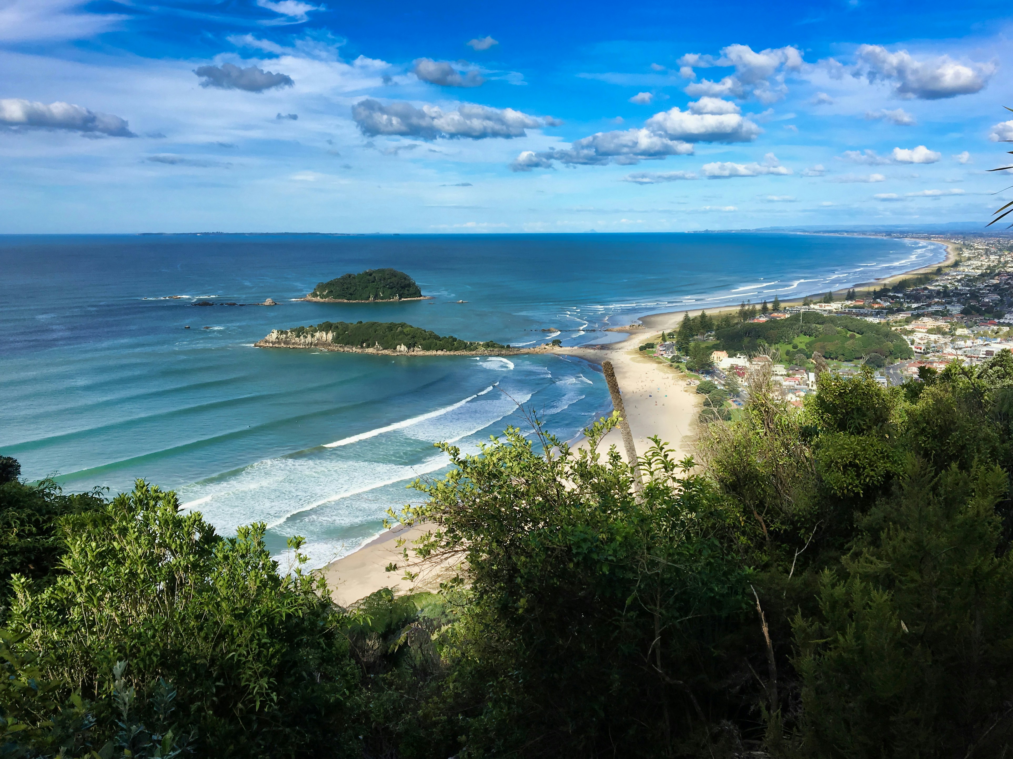 green trees near body of water under blue sky during daytime, Stunning beach view in Mount Maunganui, New Zealand.