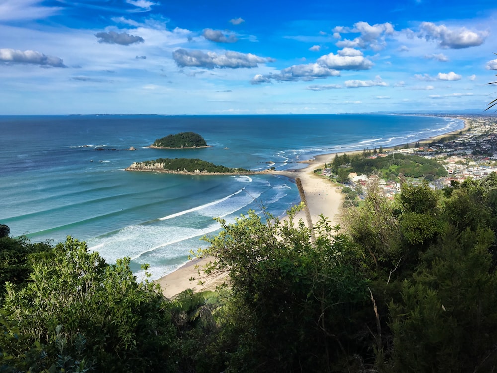 árvores verdes perto do corpo de água sob o céu azul durante o dia