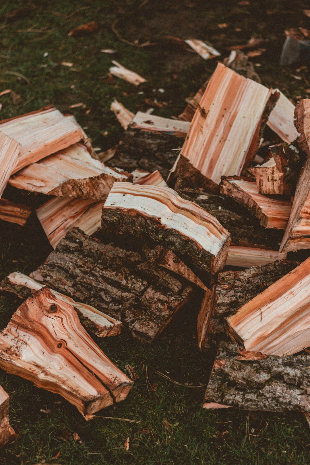 brown wood logs on ground