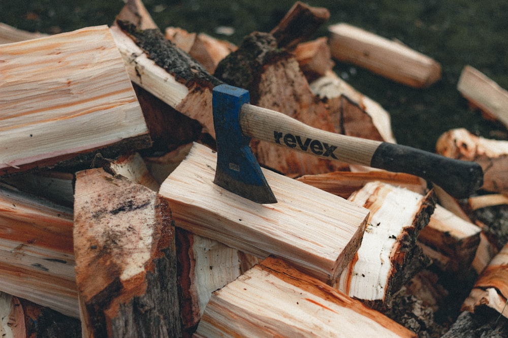 brown and black wood log