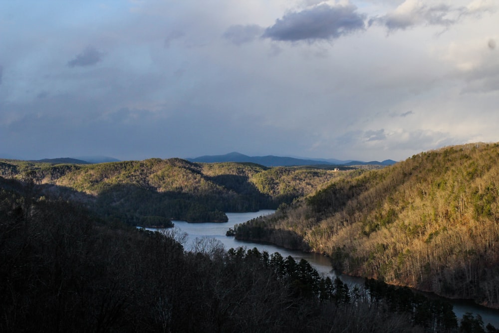 green trees and river under cloudy sky during daytime