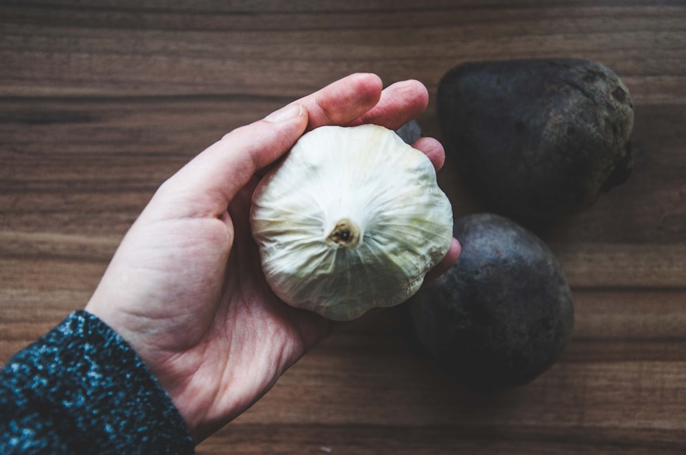 Persona sosteniendo una fruta blanca redonda