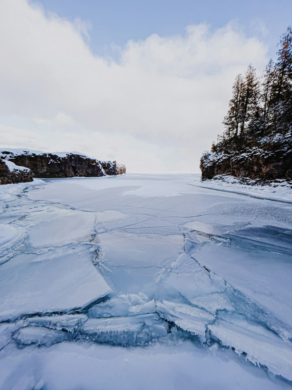 Campo cubierto de nieve y árboles durante el día