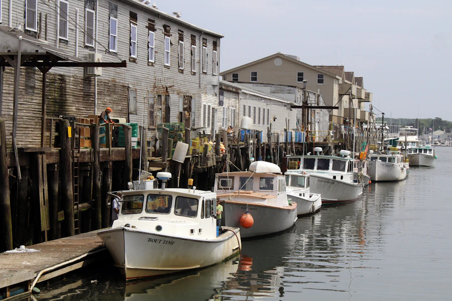 Portland Maine harbor