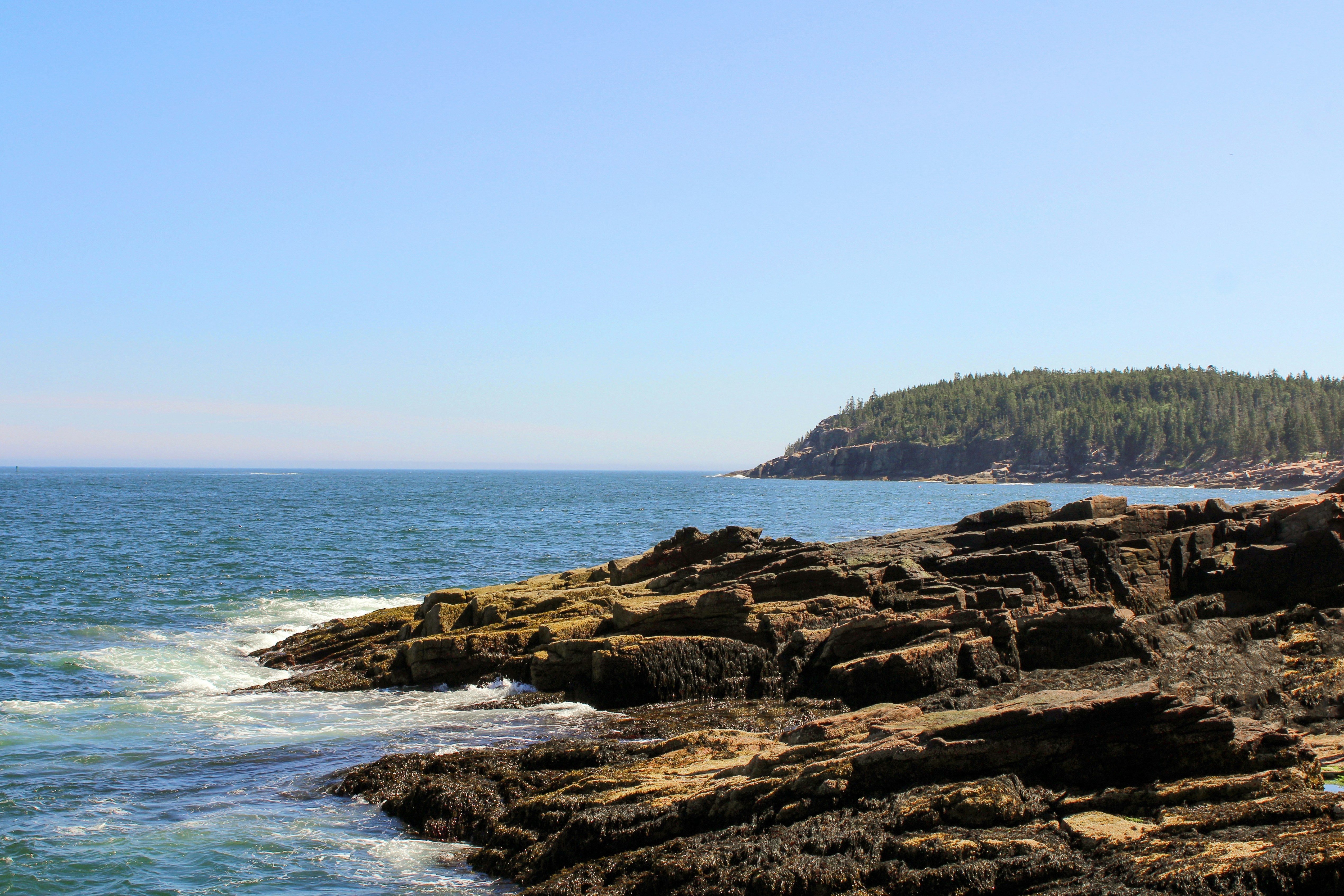 brown rocky shore near green trees during daytime