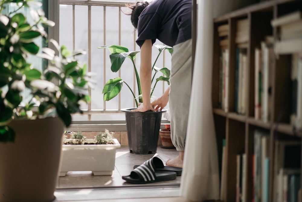 person in blue shirt and black pants standing beside green potted plant