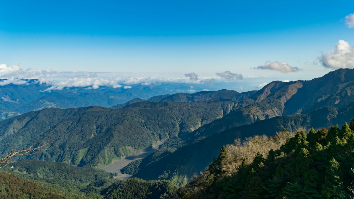 從太平山國家森林遊樂區遠望層層山稜與遠方雲海，前景是針葉林