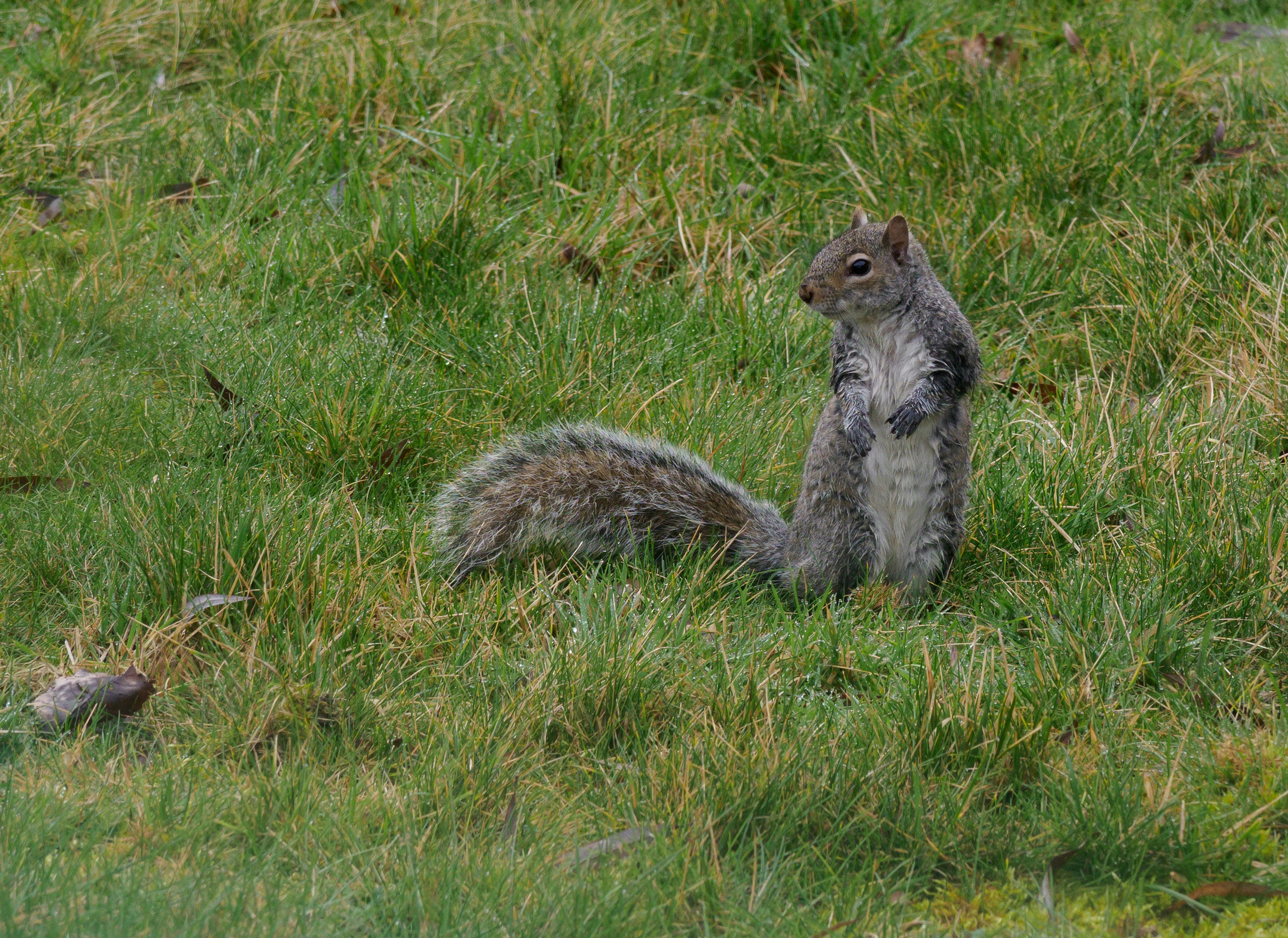 Photo by brett_jordan