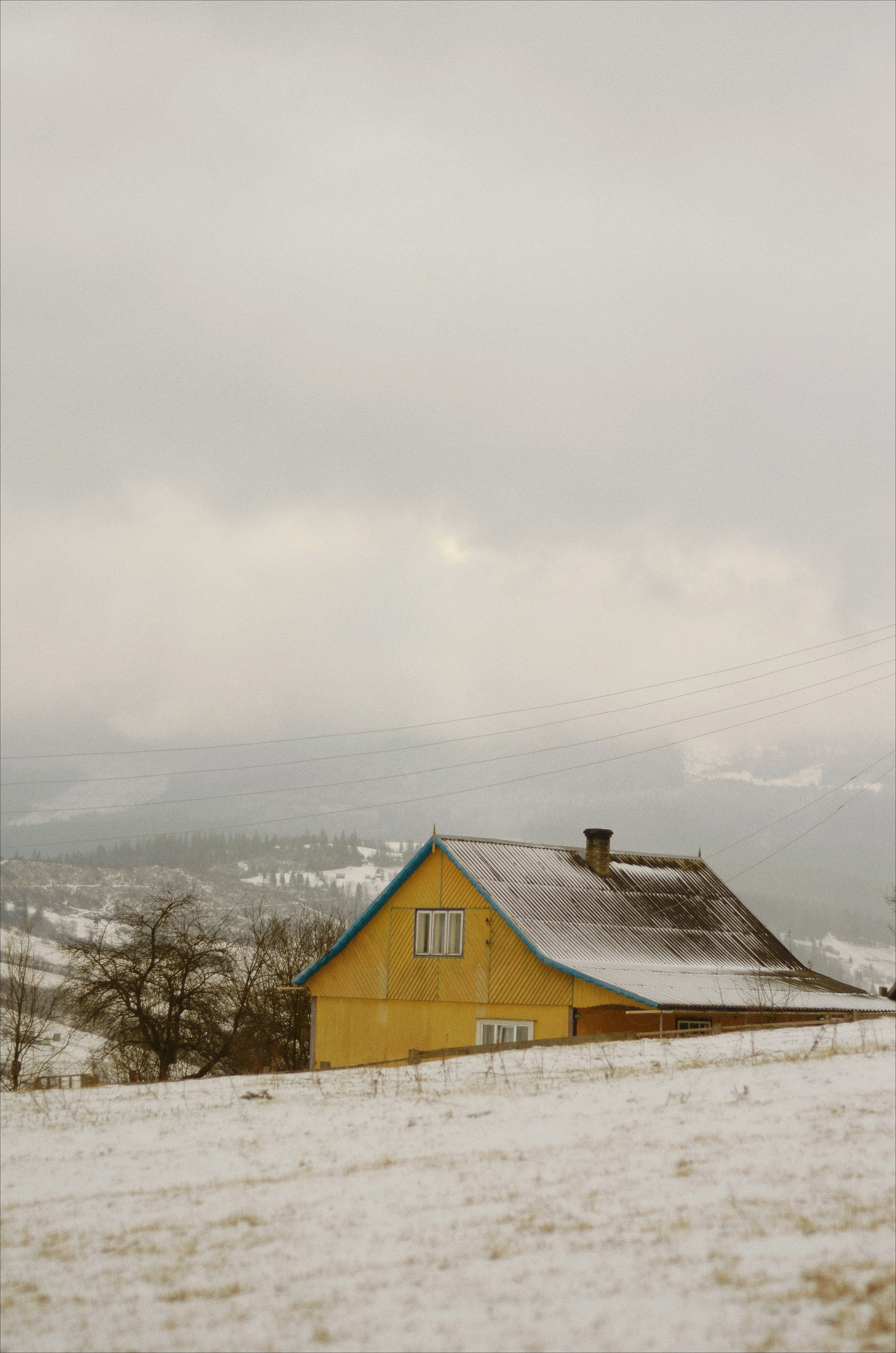 brown wooden house near trees under white sky during daytime