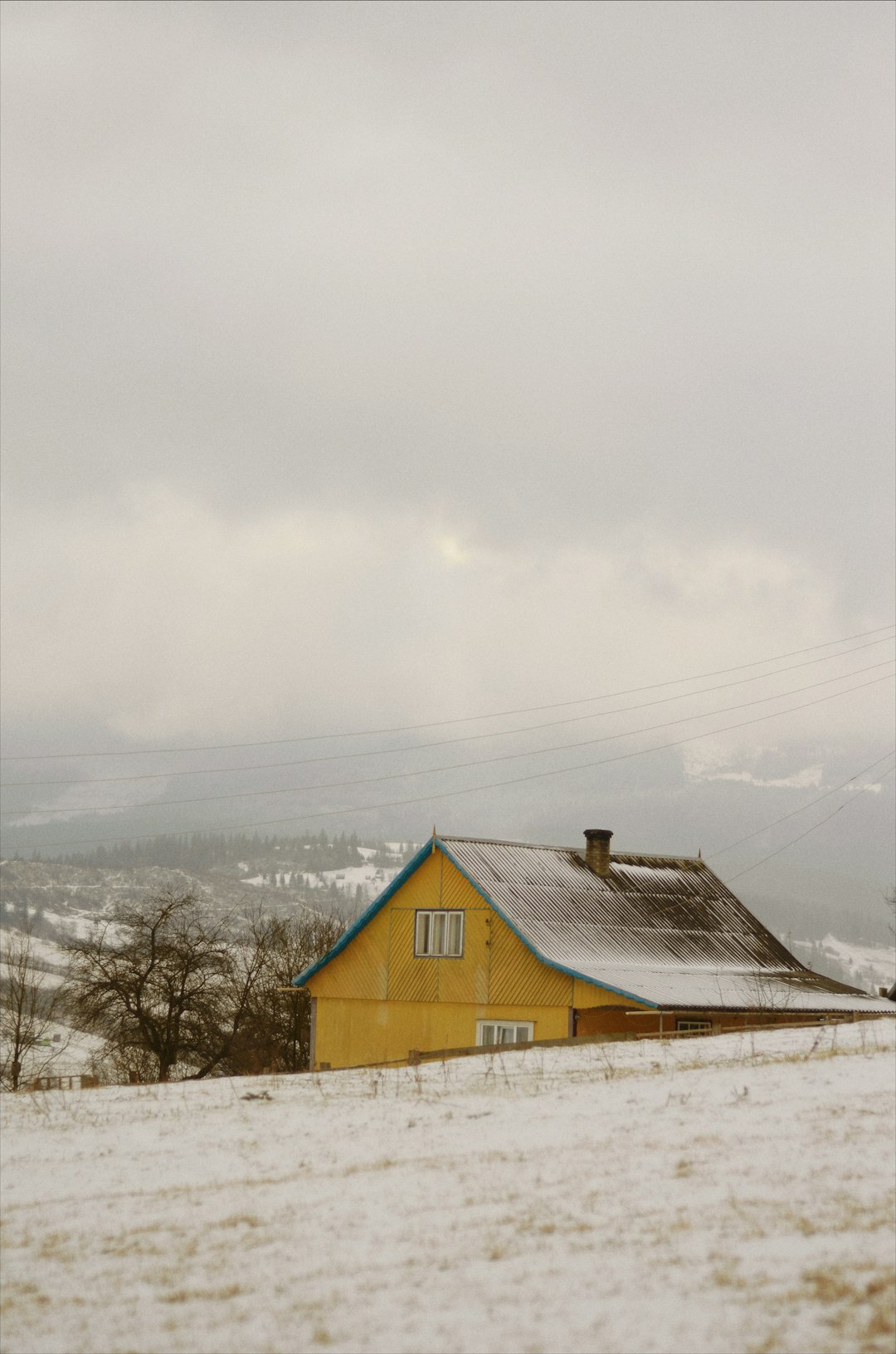 brown wooden house near trees under white sky during daytime