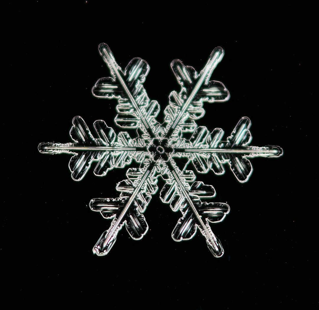 Best Snowflake Pictures Hd Download Free Images On Unsplash