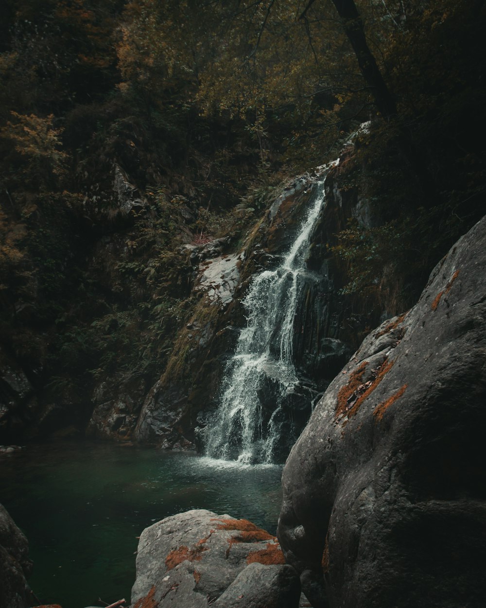 a água cai no meio da floresta