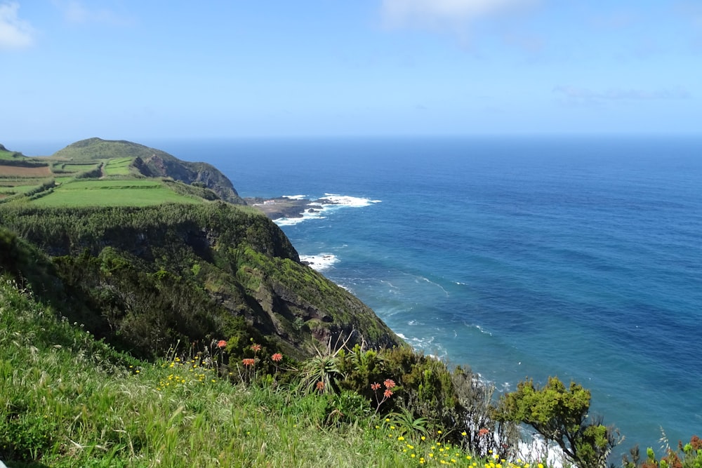 green grass on mountain near body of water during daytime