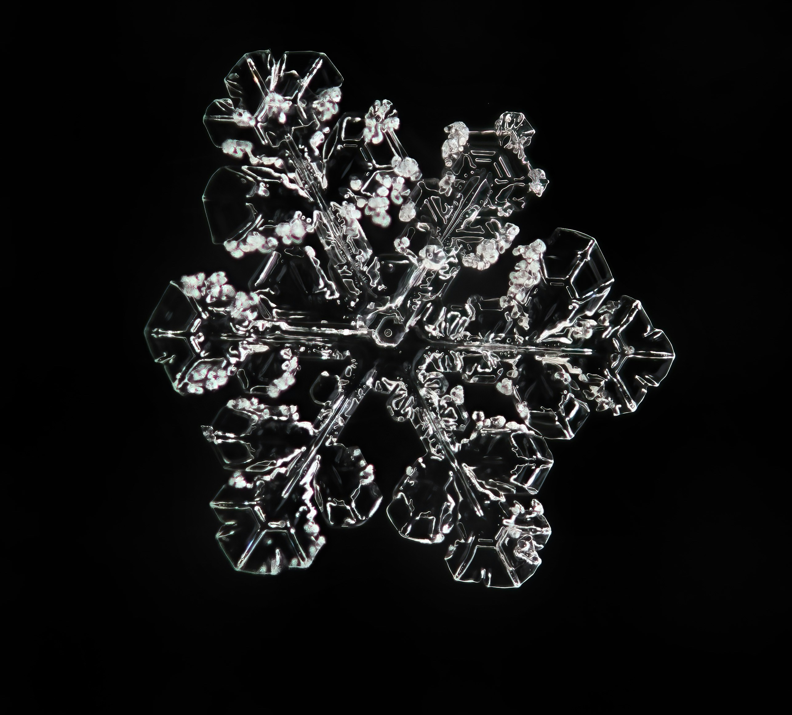 silver diamond studded ring on black surface