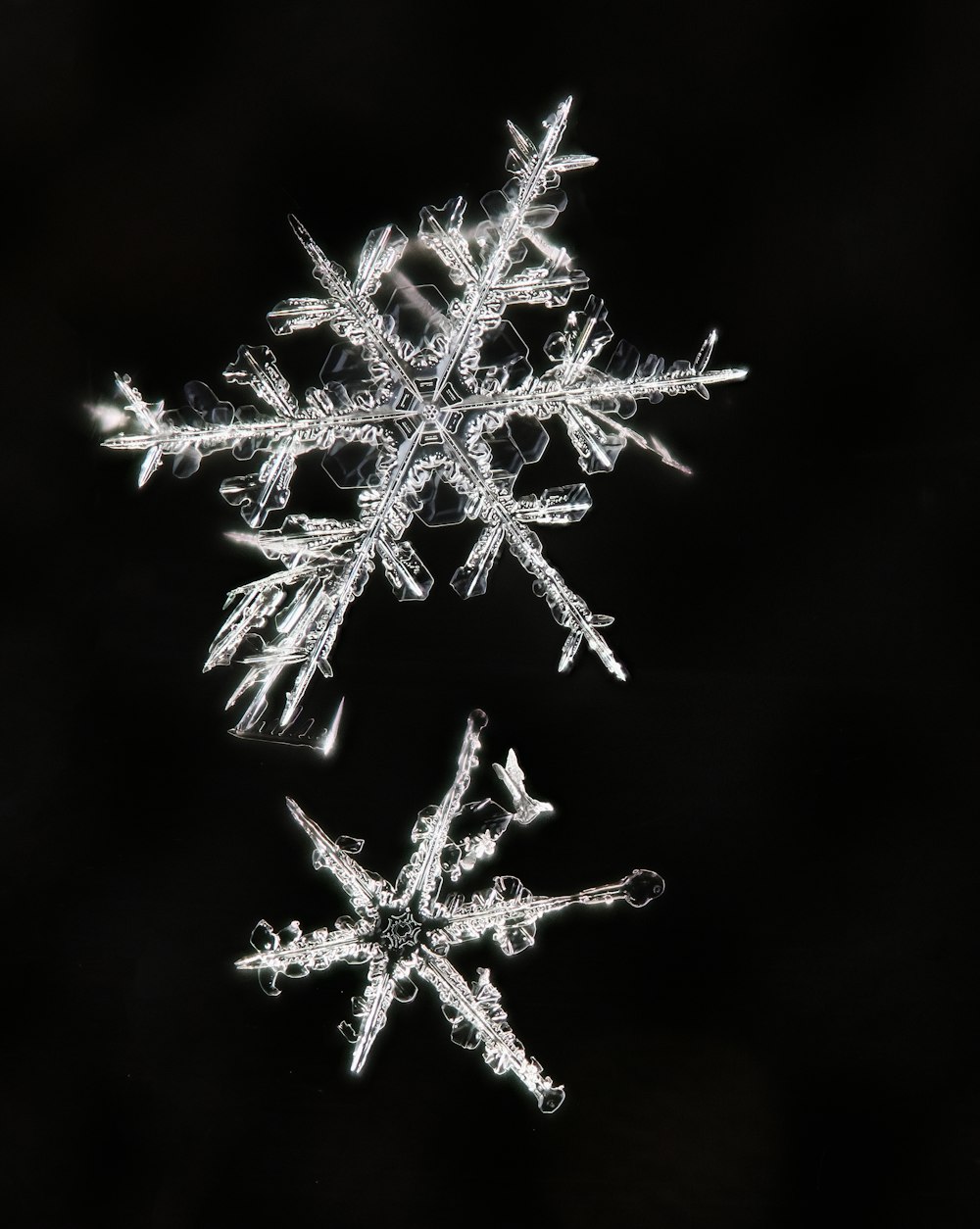 flocons de neige blancs sur fond noir