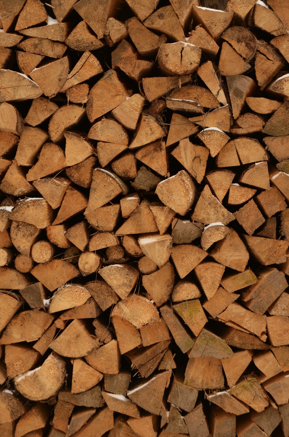 brown wooden stick lot in close up photography