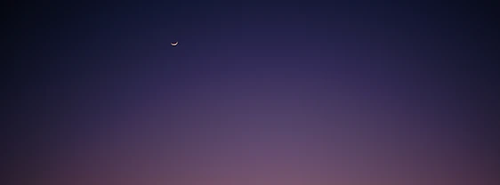 A serene midnight purple background with a glowing gold lotus and crescent moon softly illuminated.
