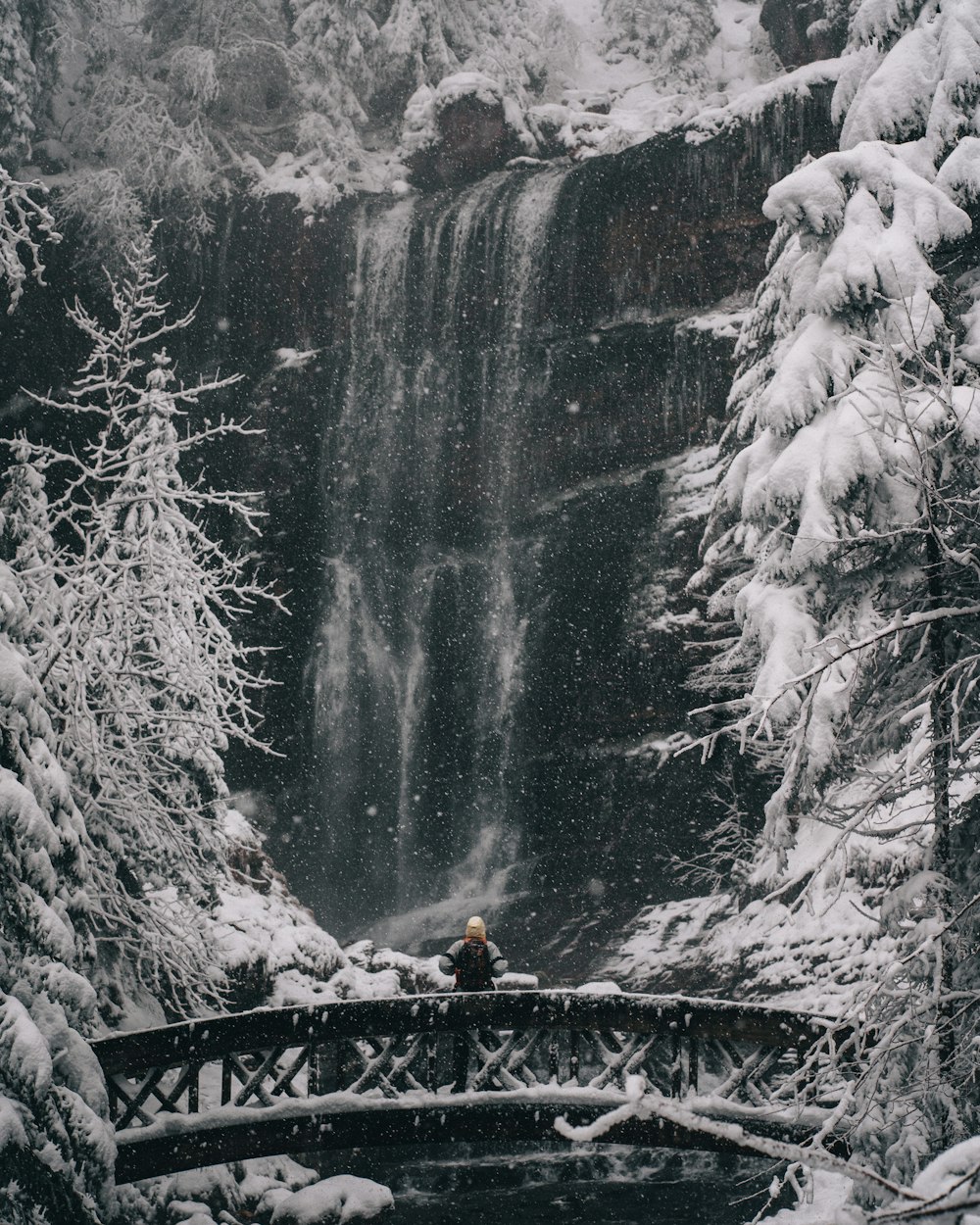 Person in schwarzer Jacke steht auf einer Brücke in der Nähe von schneebedeckten Bäumen