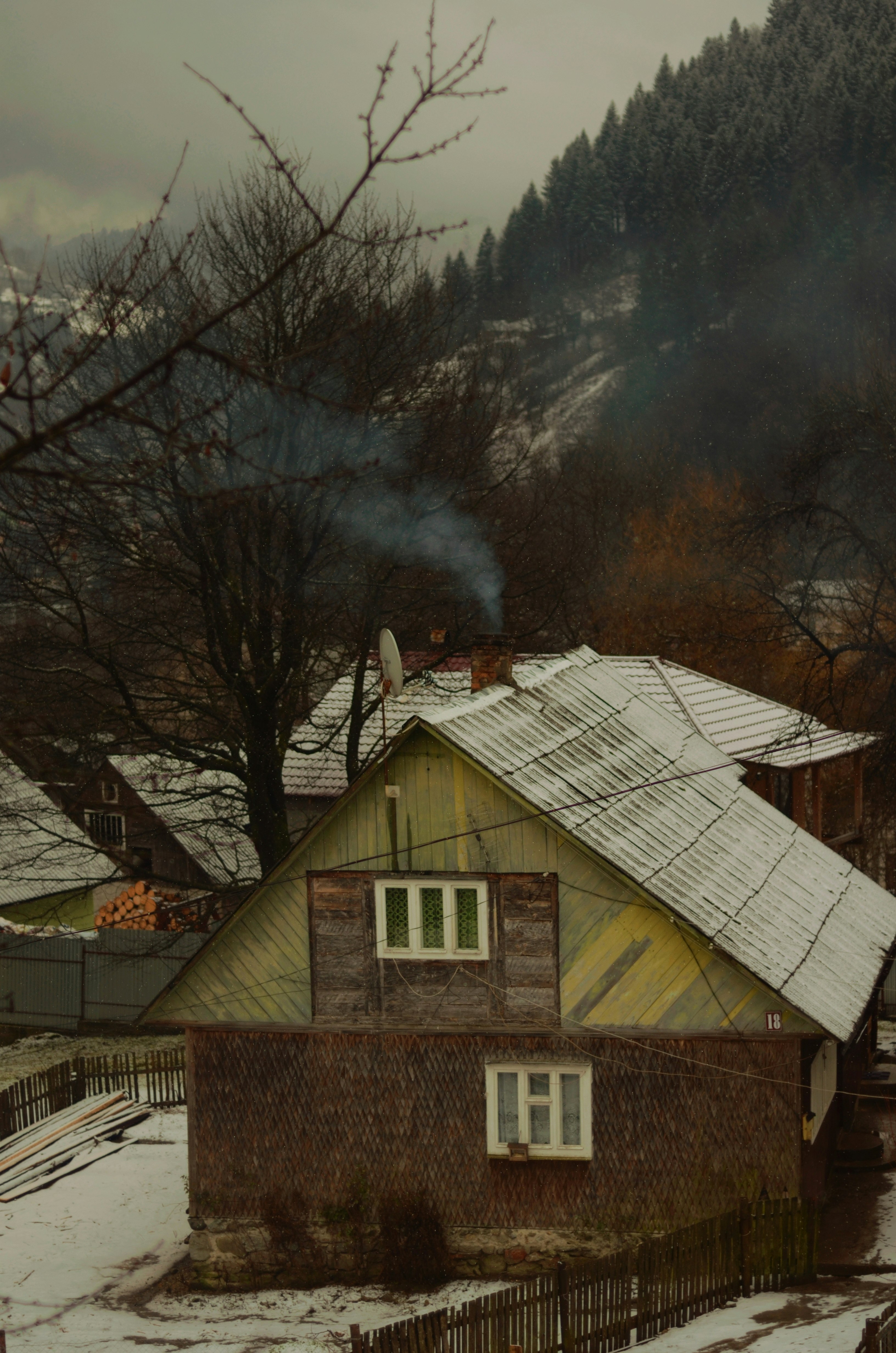 white and brown wooden house near bare trees during daytime