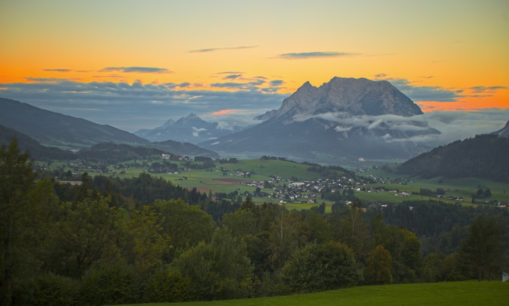 green trees and mountains under blue sky during daytime