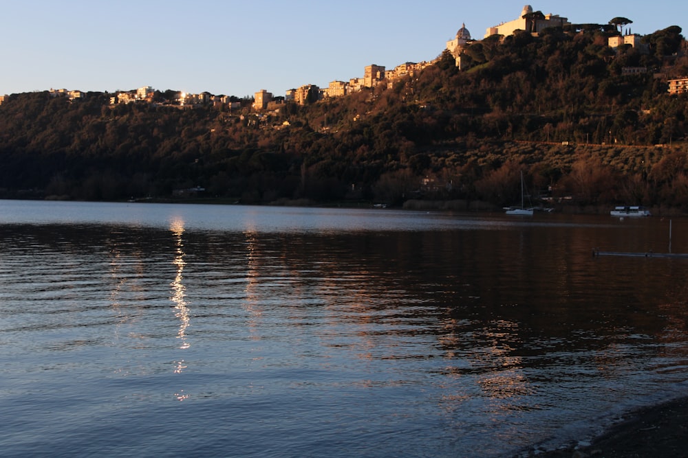 brown rock formation near body of water during daytime