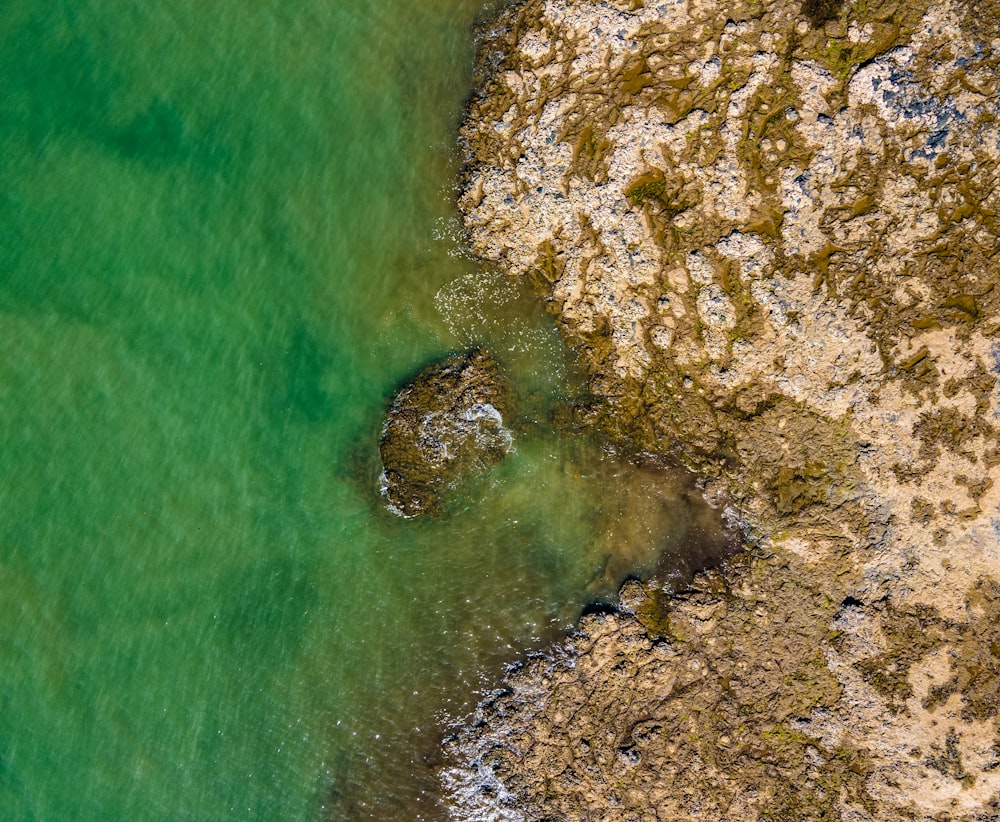 brown and black rocks beside body of water