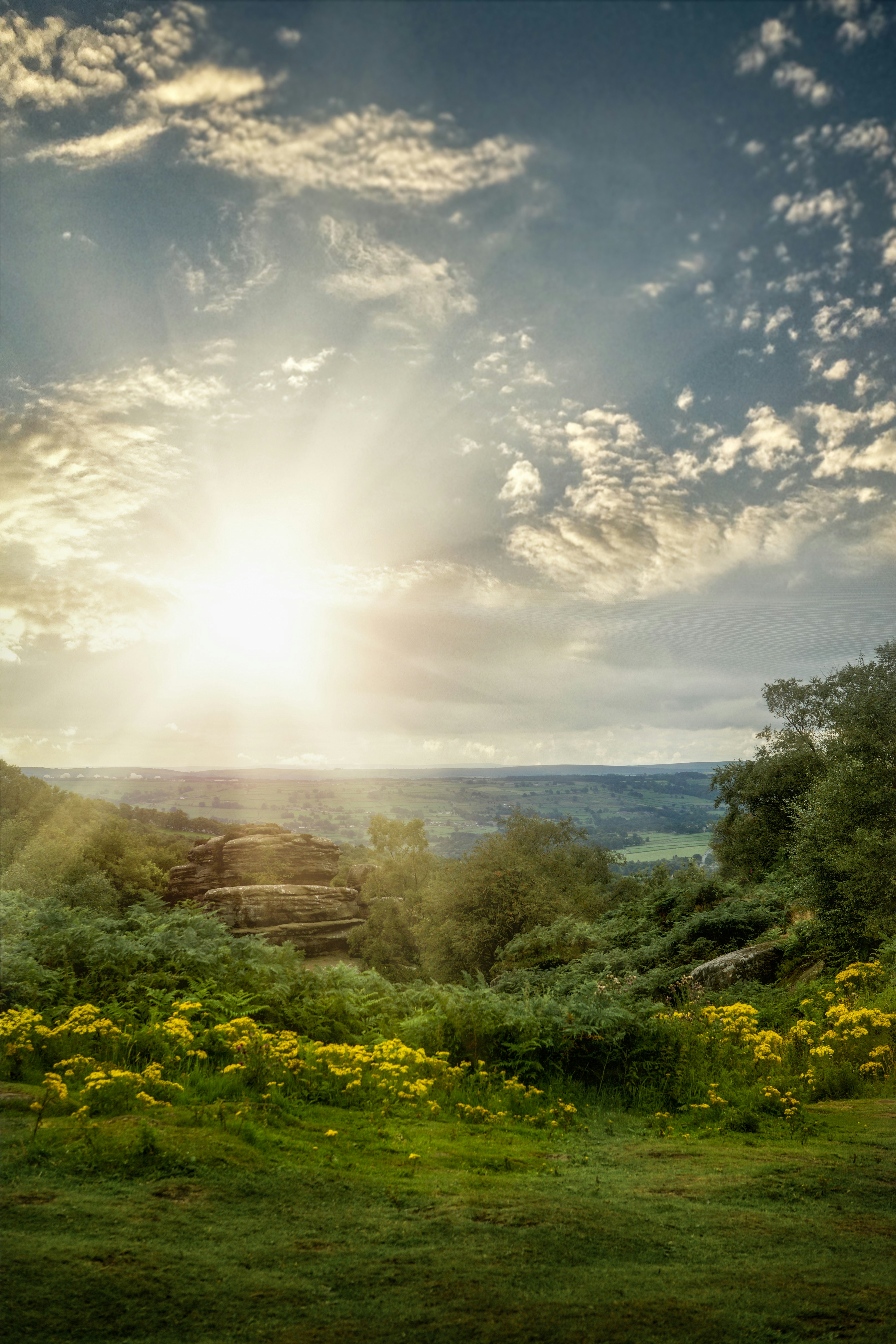 Vitamin D Drops with 2 Under 2