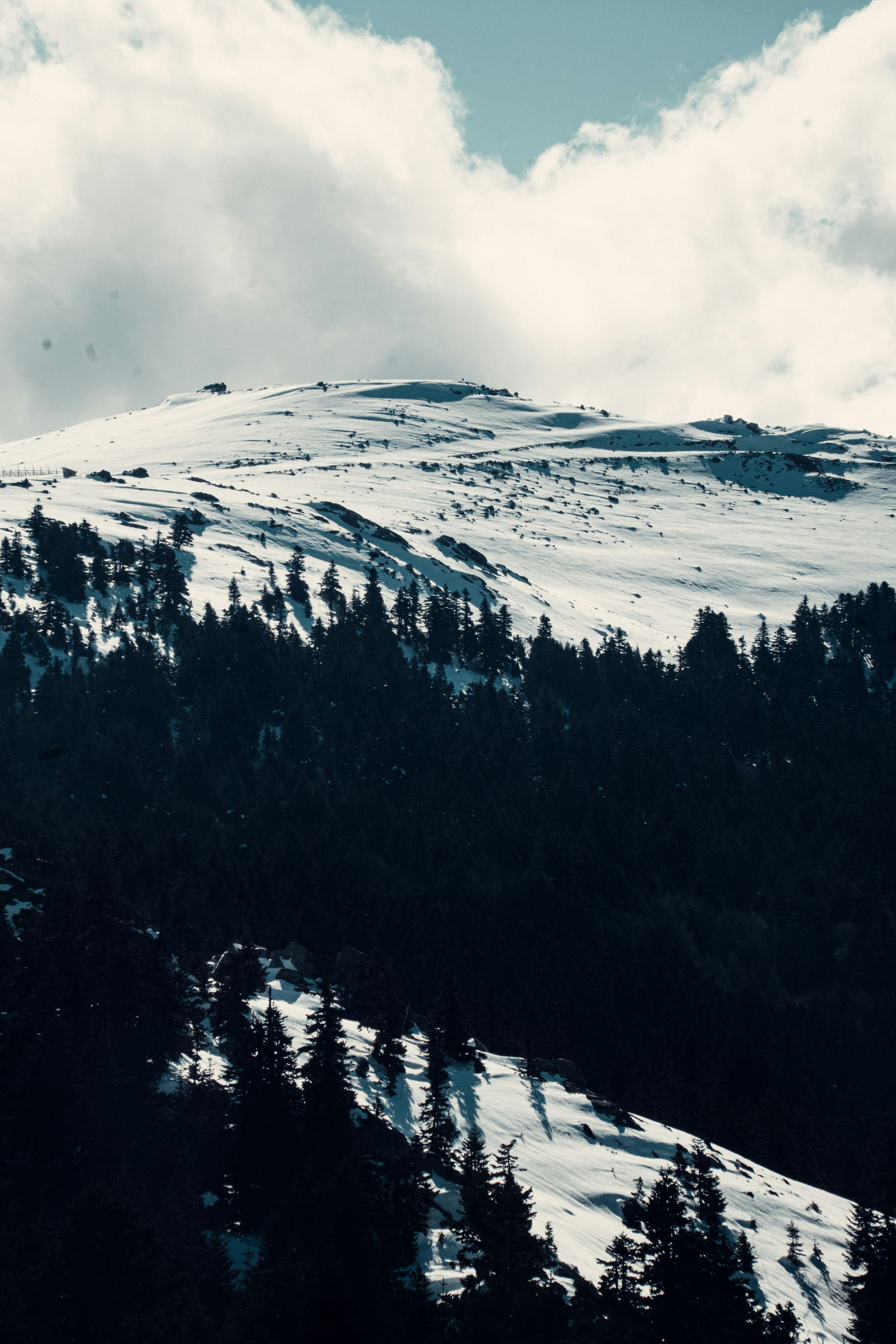 Photo by caginkargi