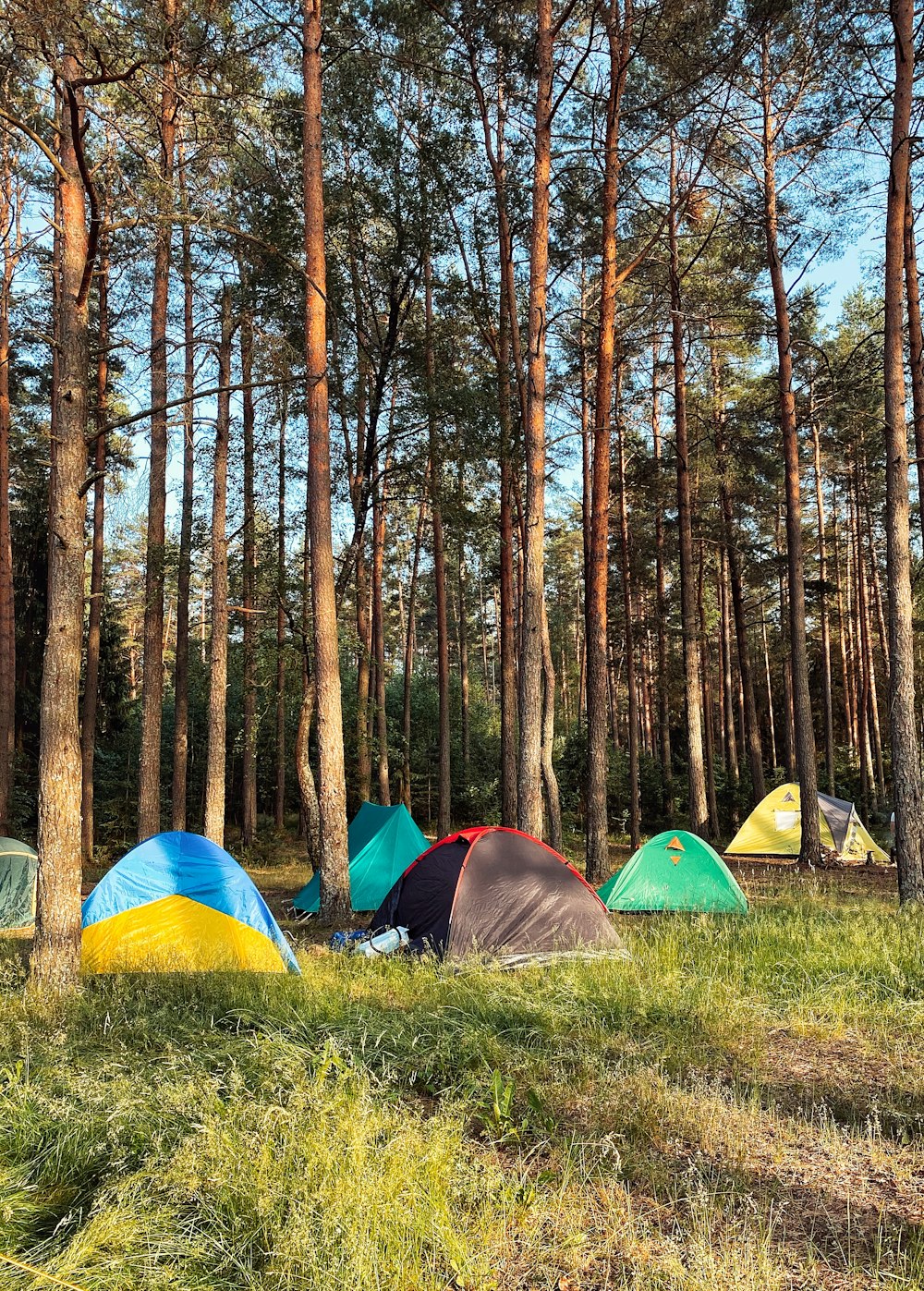 Tente dôme bleu, jaune et rouge dans la forêt pendant la journée