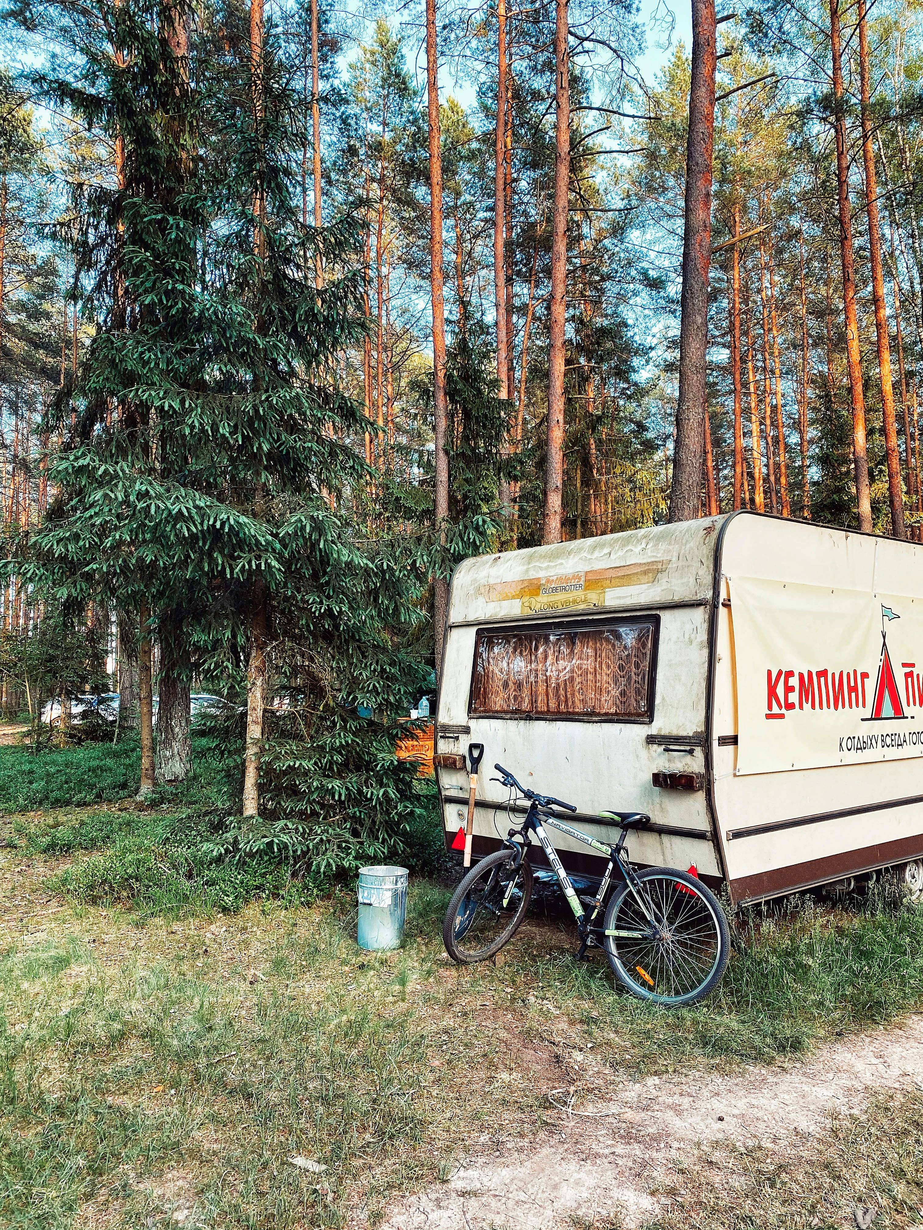 brown and black bicycle beside brown and green trees during daytime